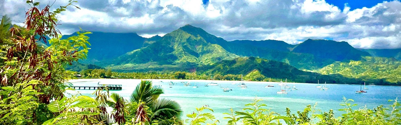 Hanalei Bay from Princeville
